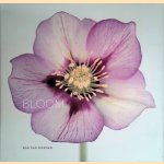 Bloom
Ron van Dongen
€ 20,00