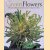 Green Flowers: Unexpected Beauty for the Garden, Container or Vase door Alison Hoblyn