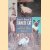 Guide to Owning a Siamese Cat door Brenda Yule