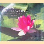 Focus on Flowers: Discovering and Photographing Beauty in Gardens and Wild Places
Allen Rokach e.a.
€ 10,00 Focus on Flowers: Discovering and Photographing Beauty in Gardens and Wild Places
Allen Rokach e.a.
€ 10,00