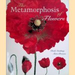 The Metamorphosis of Flowers
Marie Perennou
€ 8,00 The Metamorphosis of Flowers
Marie Perennou
€ 8,00