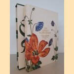 The Green Florilegium = Das Grüne Florilegium
Hanne Kolind Poulsen
€ 65,00 The Green Florilegium = Das Grüne Florilegium
Hanne Kolind Poulsen
€ 65,00