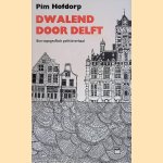 Dwalend door Delft: een topografisch politieverhaal door Pim Hofdorp