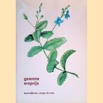 Gewone Ereprijs *GESIGNEERD*
Karst Dijkstra e.a.
€ 10,00 Gewone Ereprijs *GESIGNEERD*
Karst Dijkstra e.a.
€ 10,00