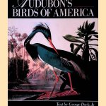 Audubons Birds of America door Jr. Dock