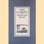 What the Light Was Like door Amy Clampitt