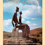 Sculpture and environment
David Finn
€ 40,00