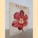 Tulips
Peter Arnold
€ 15,00