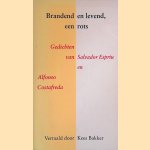 Brandend en levend, een rots
Salvador Espriu e.a.
€ 10,00 Brandend en levend, een rots
Salvador Espriu e.a.
€ 10,00