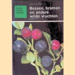 Bezield erfgoed: straten en monumenten in Aalten, Dinxperlo, Bredevoort en buurtschappen door Jos Wessels
