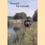 Steentil bij Aduard door W. Friso e.a.