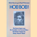 Hoei boei! Herinneringen aan De Avonden van Gerard Reve. De kleine reünie van Jaap, Joop en Viktor door Dick Slootweg e.a.