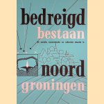 Bedreigd bestaan: de sociale, economische en culturele situatie in Noord-Groningen in 1959 door Emme Groot