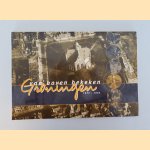Groningen van boven bekeken 1922-1965 door Kees van der Hoef e.a.