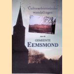 Cultuurhistorische wandelingen door de gemeente Eemsmond (2 delen) door M.A. Holtman e.a.
