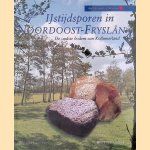 IJstijdsporen in noordoost Fryslân: de oudste bodem van Kollumerland
Evert van Ginkel
€ 8,00