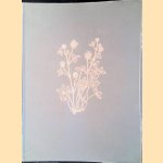 Pasture and Range Plants
G.W. - and others Tomanek
€ 15,00 Pasture and Range Plants
G.W. - and others Tomanek
€ 15,00