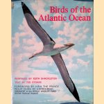 Birds of the Atlantic Ocean door Ted Stokes e.a.
