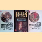 The Graoes of Wrath; Sweet Thursday; East of Eden (3 volumes)
John Steinbeck
€ 10,00