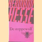 De steppewolf
Hermann Hesse
€ 6,00