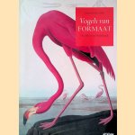 Vogels van formaat: Audubon in Nederland door Reinjan Mulder