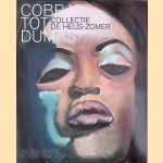 Cobra tot Dumas: Collectie de Heus-Zomer: Nederlandse kunst 1948-2012 door Hans den Hartog Jager