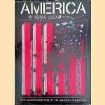 America door Ralph Steadman e.a.