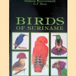 Birds of Suriname door François Haverschmidt e.a.