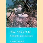 The Sulidae: Gannets and Boobies door Bryan Nelson
