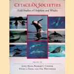 Cetacean Societies: Field Studies of Dolphins and Whales door Janet Mann