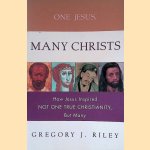 One Jesus, Many Christs: how Jesus inspired not one true Christianity but many door Gregory J. Riley