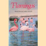 Flamingos door Malcolm Alexander Ogilvie e.a.