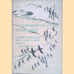A Gathering of Shore Birds door Henry Marion Hall e.a.
