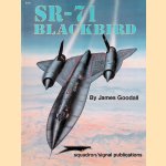 SR-71 Blackbird door James Goodall