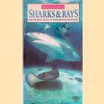 Sharks and Rays: The Ultimate Guide to Underwater Predators door Timothy C. Tricas e.a.