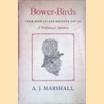 Bower-Birds: Their Displays and Breeding Cycles: a Preliminary Statement door A.J. Marshall