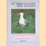De 1000 zilvers van Schier: de zilvermeeuw geobserveerd door Jaap Vries