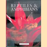 Encyclopedia of Reptiles & Amphibians: A Comprehensive Illustrated Guide by International Experts door Harold G. Cogger e.a.