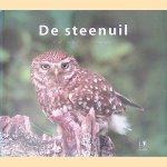 De steenuil door Ronald van Harxen e.a.
