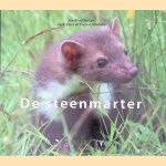 De steenmarter door Sim Broekhuizen e.a.