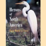 Herons of North America: Their World in Focus door James Hancock