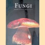 Fungi door Christian and Paul Starosta Epinat