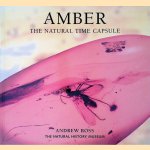 Amber: The Natural Time Capsule door Andrew Ross