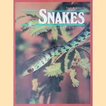 Snakes and Other Reptiles of Southern Africa door Bill Branch