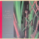 Rare and Elusive Birds of North America door William Burt