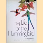 The Life of the Hummingbird door Alexander Frank Skutch