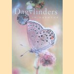 Dagvlinders in Drenthe door Ate Dijkstra e.a.
