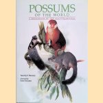 Possums of the World: A Monograph of the Phalangeroidea door Timothy F. Flannery e.a.