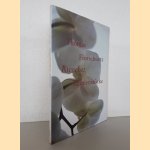 Thomas Florschuetz: Ricochet door Thomas Florschuetz