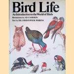 Bird Life: An Introduction to the World of Birds door Ad Cameron e.a.